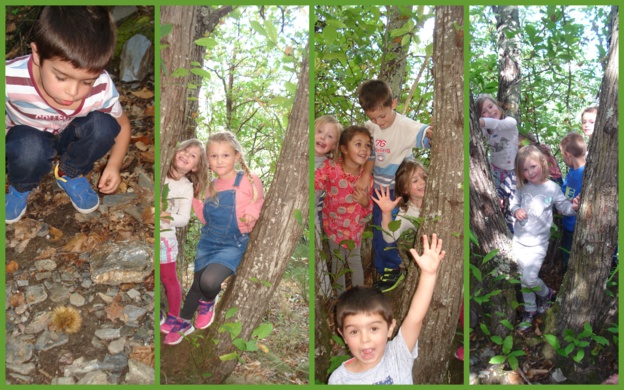 Photos du groupe de grande-section de ce mardi 20 09 2016 Photos du groupe de grande-section de ce mardi 20 09 2016