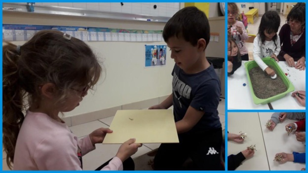 Les GS-CP fêtent la science! Les GS-CP fêtent la science!