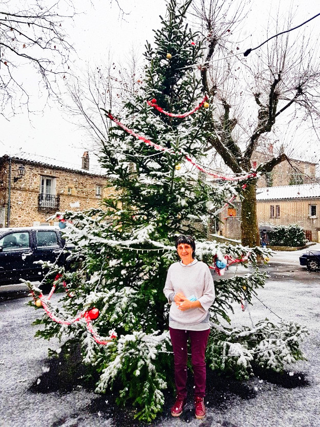 Premiers flocons de neige 
