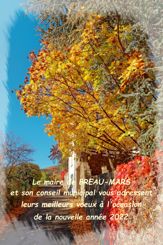 Voeux 2022 Voeux 2022