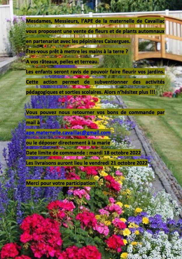 Ecoles de la commune, primaire et maternelle : Oreillettes, plans d'automne Ecoles de la commune, primaire et maternelle : Oreillettes, plans d'automne