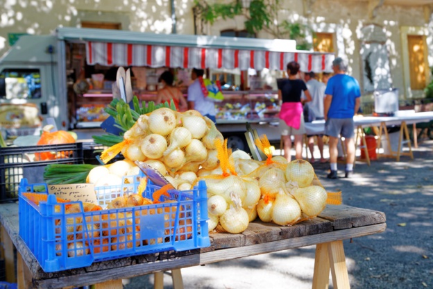 L'oignon nouveau est arrivé ! L'oignon nouveau est arrivé !