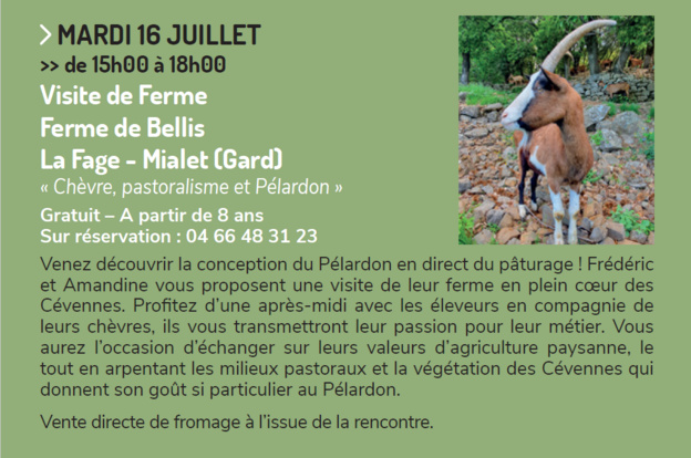 Programme Estivales des Causses et Cévennes - Semaine du 15 au 21 juillet 2024 Programme Estivales des Causses et Cévennes - Semaine du 15 au 21 juillet 2024