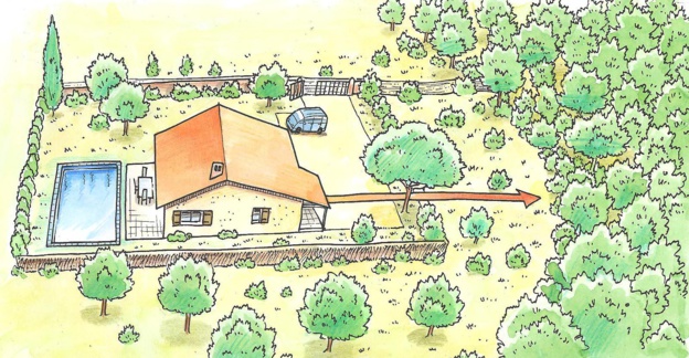 Débroussaillage Débroussaillage