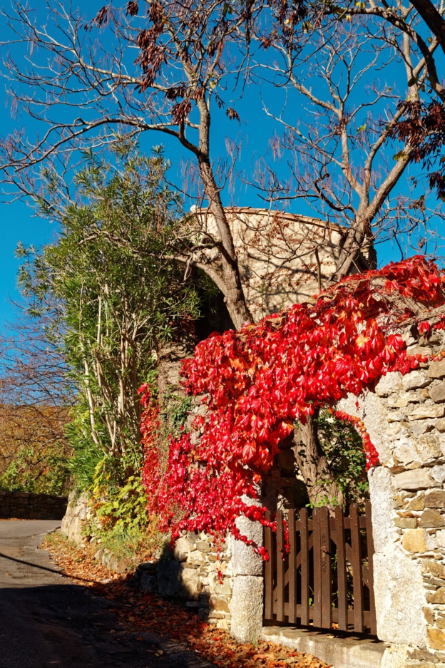 Chemin du Tour de Ville Chemin du Tour de Ville