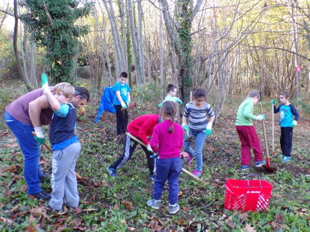 Activités périscolaires semaine du 9 au 13 Novembre 2015 Activités périscolaires semaine du 9 au 13 Novembre 2015