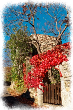 Voeux du Maire Voeux du Maire