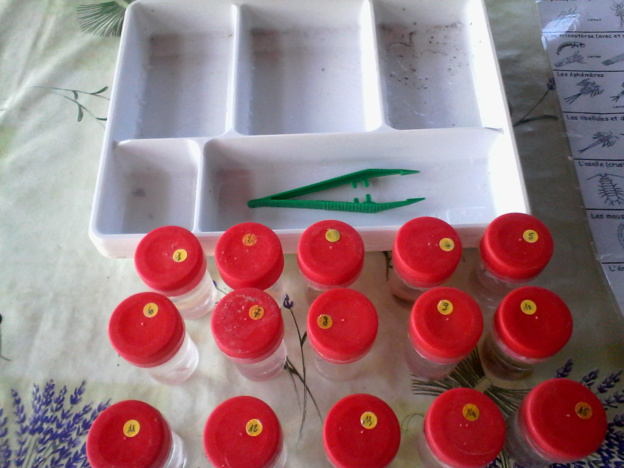 Activités périscolaires du mardi 17 mai 2016 et vendredi 20 mai 2016 Activités périscolaires du mardi 17 mai 2016 et vendredi 20 mai 2016