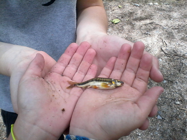 "Pêche" en activité périscolaire "Pêche" en activité périscolaire