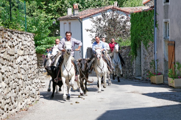 Gardians guidant les toros (Abrivado dans les rues de BREAU)