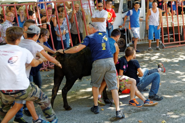 Les attrapaïres à l'oeuvre Les attrapaïres à l'oeuvre