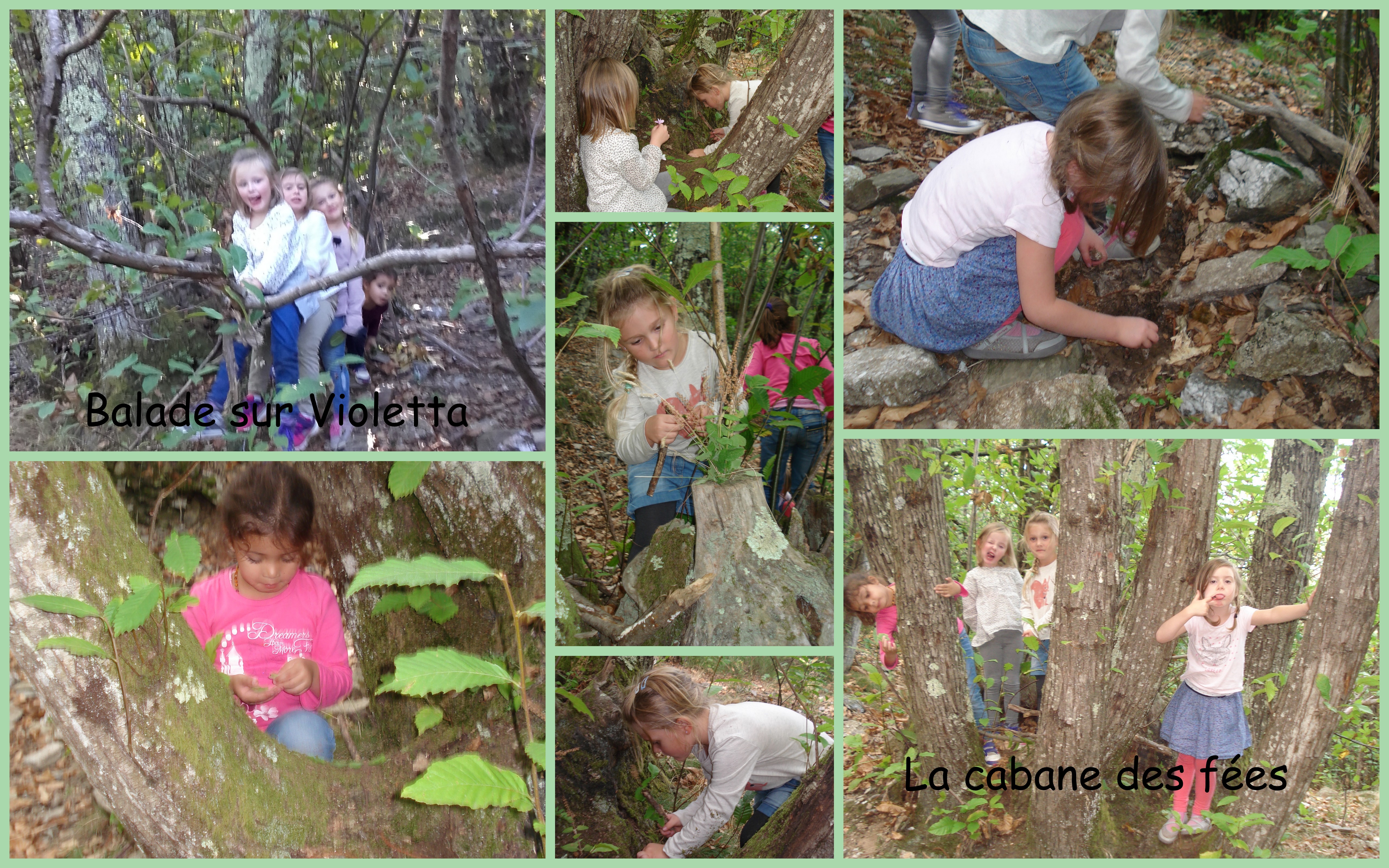 Land Art avec Danièle et son groupe de grande section