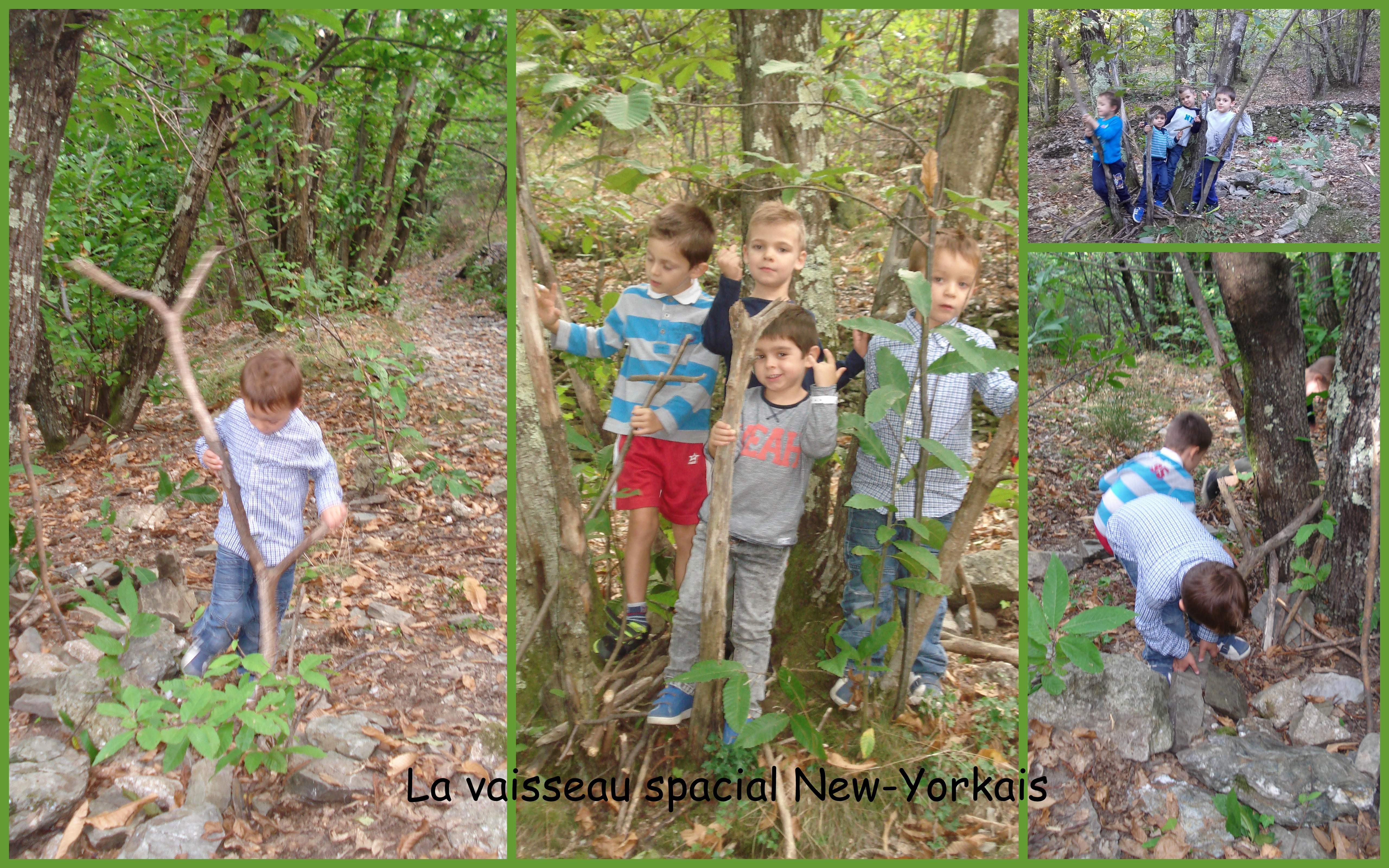 Land Art avec Danièle et son groupe de grande section