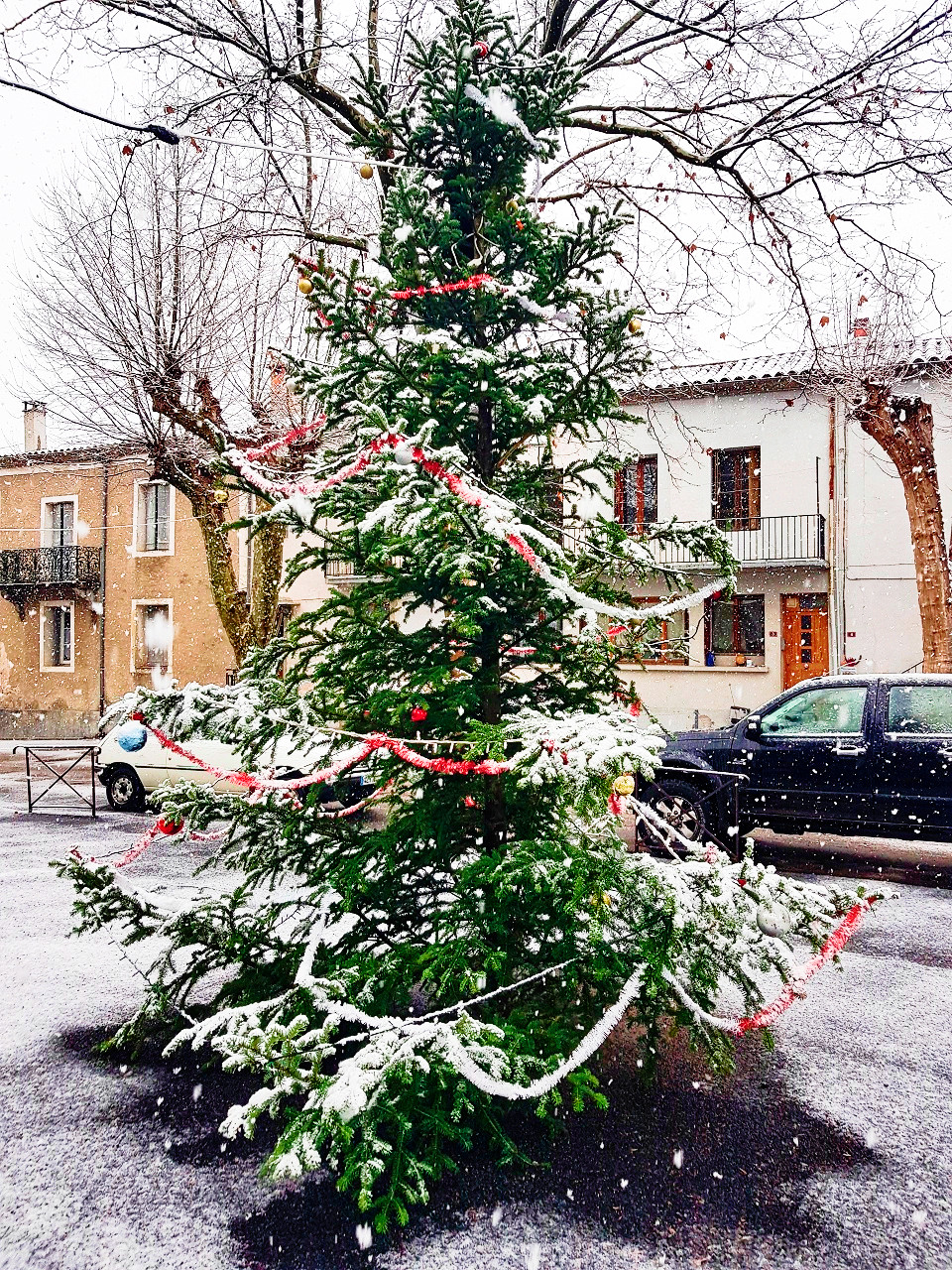 Premiers flocons de neige 
