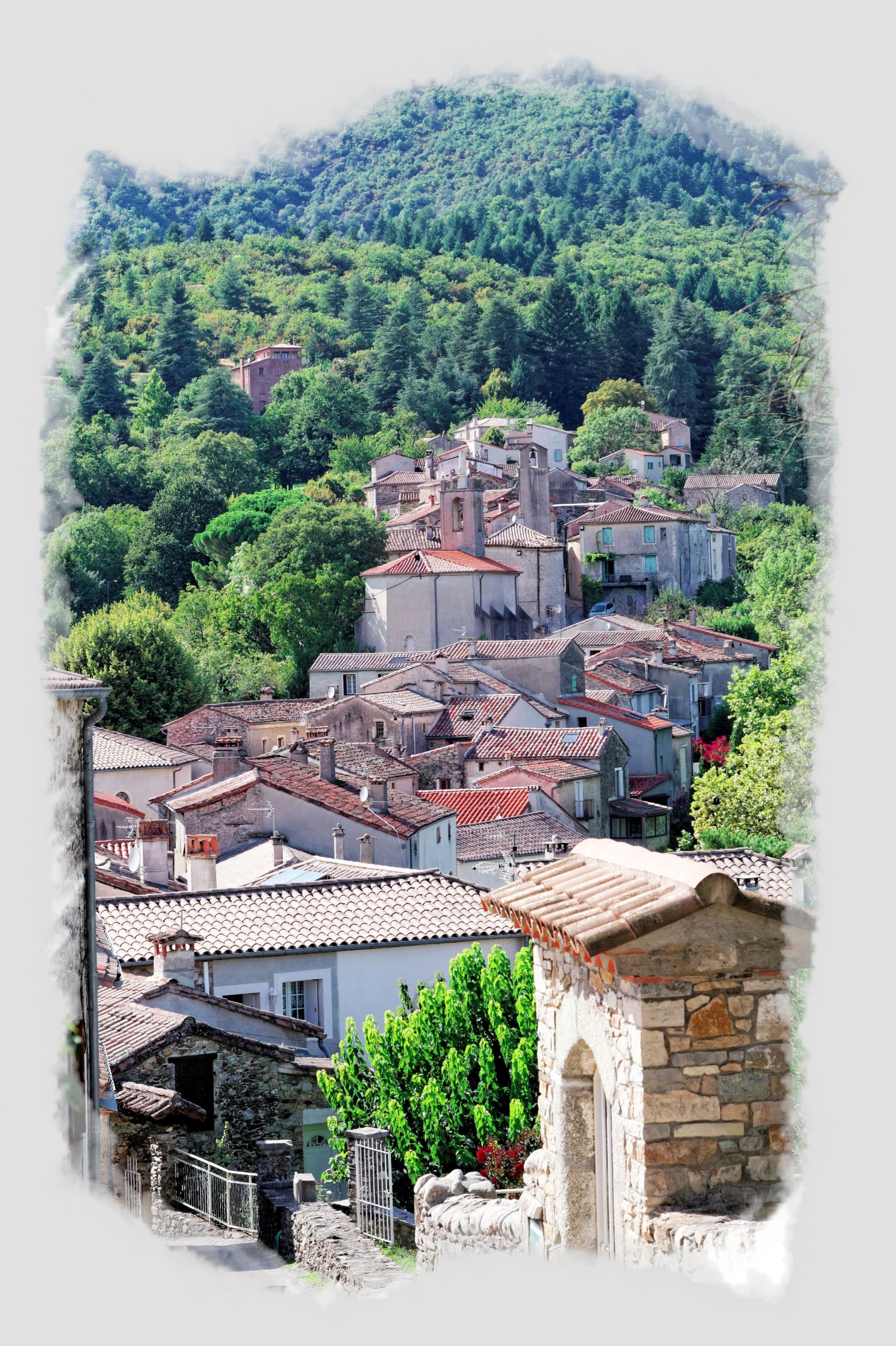 Vœux du Maire Vœux du Maire