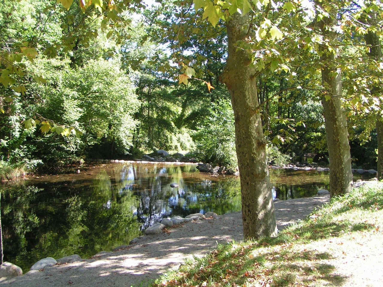 Un concert la tête dans les étoiles au Rieumage ! Un concert la tête dans les étoiles au Rieumage !