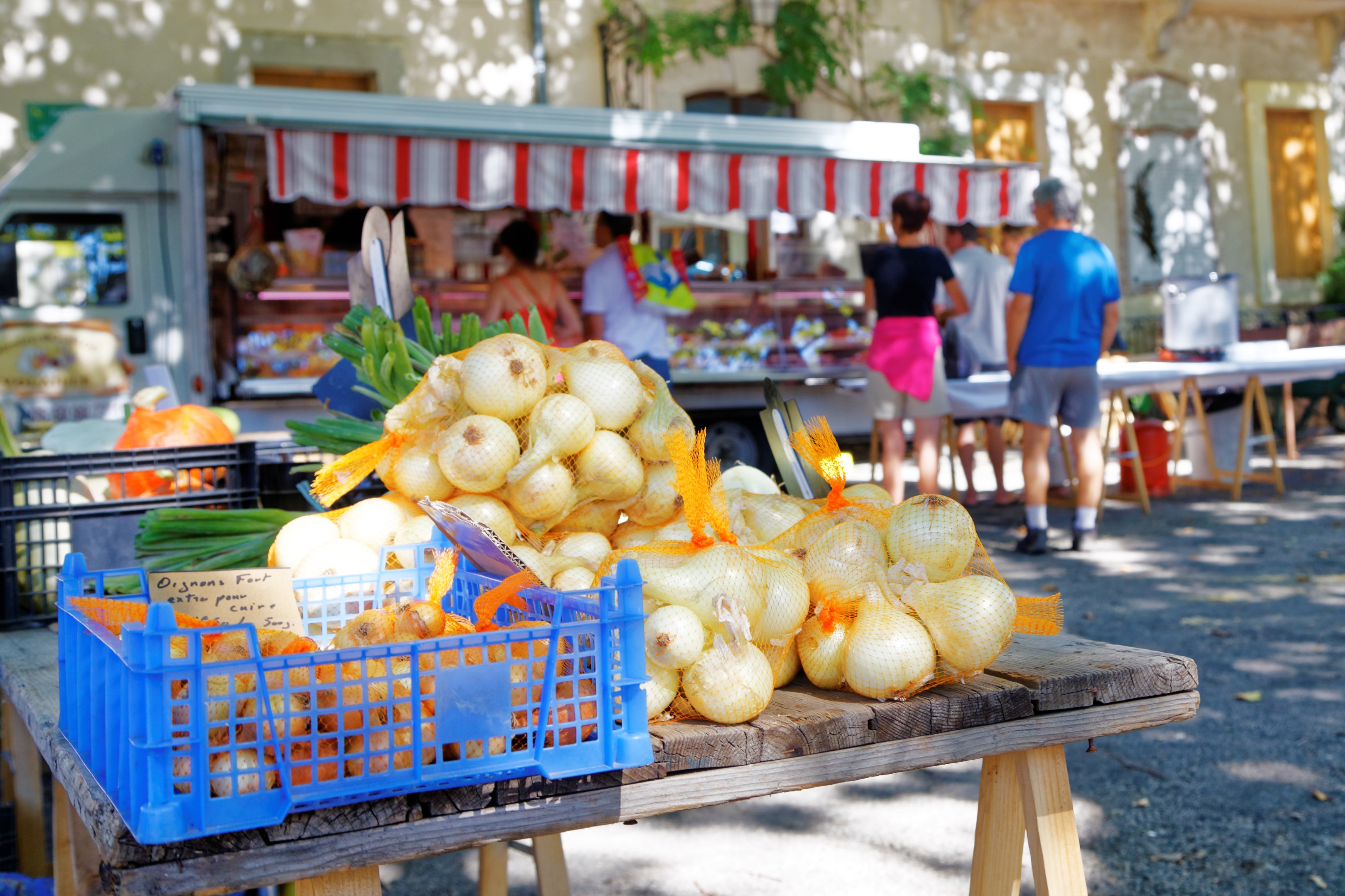 L'oignon nouveau est arrivé ! L'oignon nouveau est arrivé !