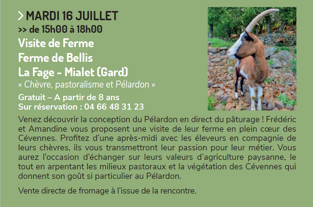 Programme Estivales des Causses et Cévennes - Semaine du 15 au 21 juillet 2024 Programme Estivales des Causses et Cévennes - Semaine du 15 au 21 juillet 2024