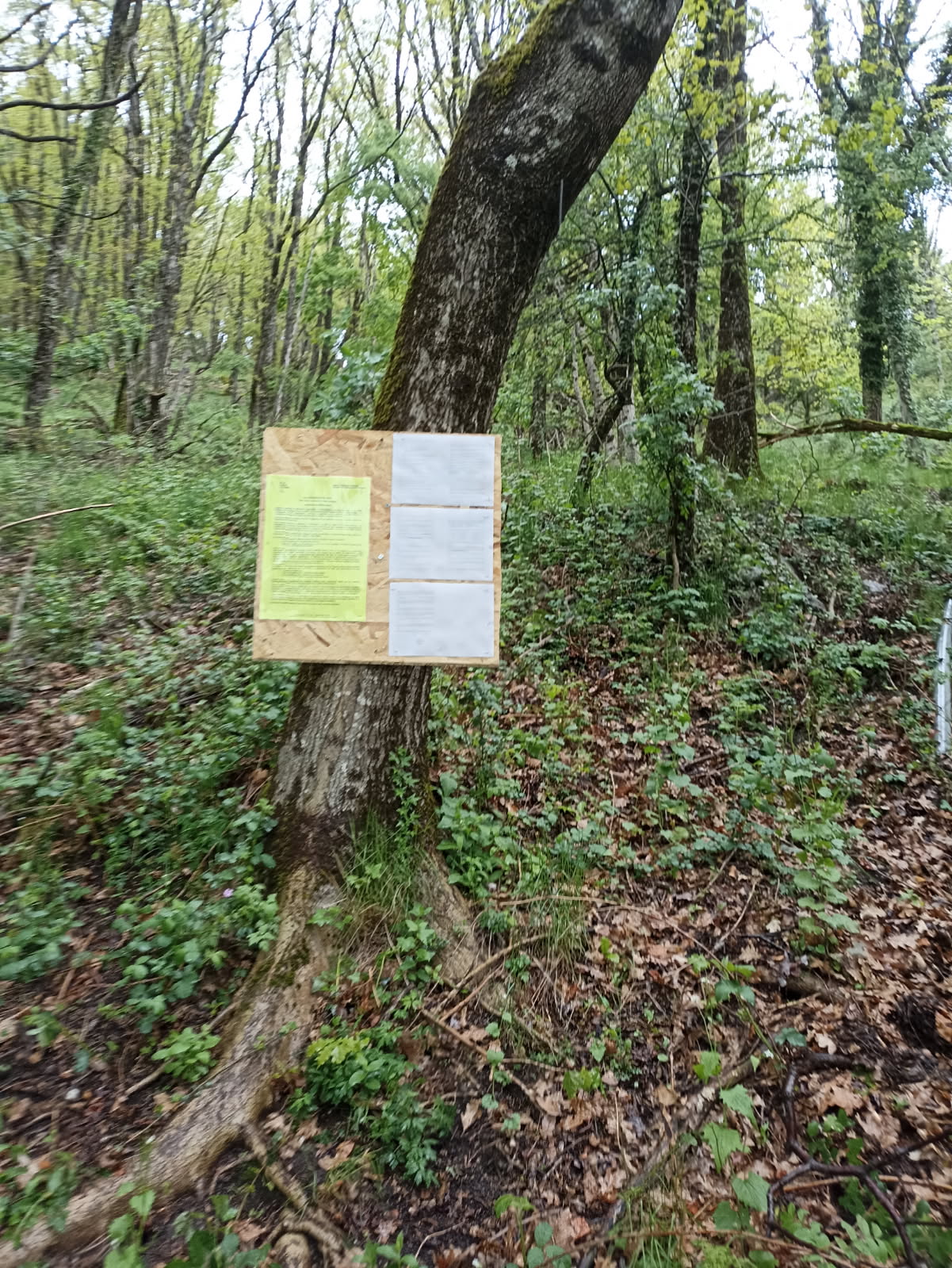 AFFICHAGE AVIS ET ARRETE ENQUETE PULBIQUE AFFICHAGE AVIS ET ARRETE ENQUETE PULBIQUE