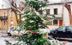 Premiers flocons de neige 
