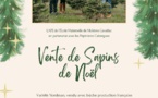 Vente de sapins de Noël par l'APE de notre école intercommunale