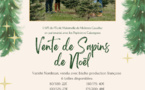 Vente de sapins de Noël