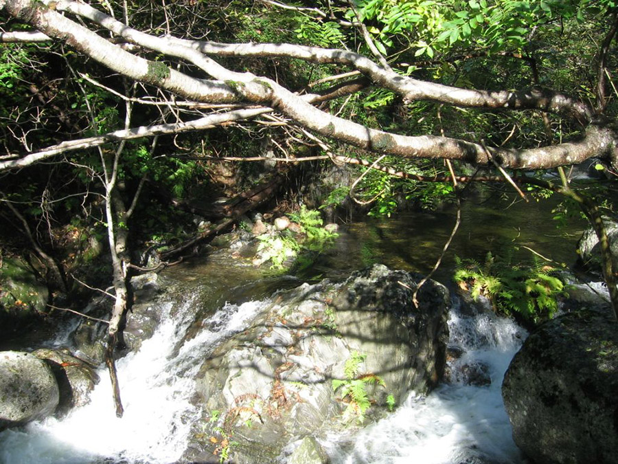 Le Souls au printemps Le Souls au printemps